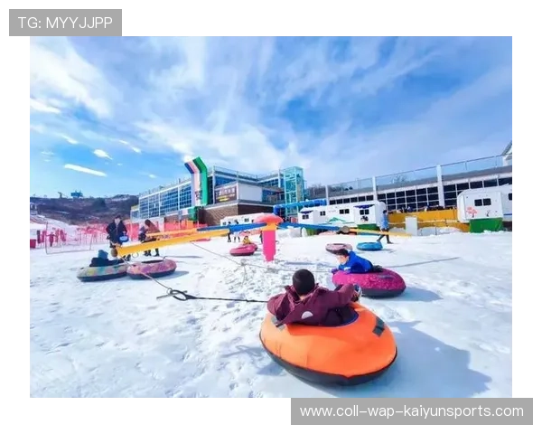 冰雪运动学院推动家庭滑雪体验活动与安全宣教，冰雪运动进家庭的表现形式有哪些